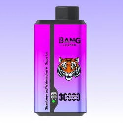 Bang Leader 30000 Puffs 2 1 jpg - Bang King Bang Leader 30000 Puffs 2 1 jpg - Bang King
