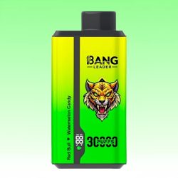Bang Leader 30000 Puffs 3 1 jpg - Bang King Bang Leader 30000 Puffs 3 1 jpg - Bang King