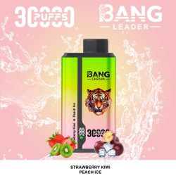 Bang Leader 30000 Puffs 7 1 jpg - Bang King Bang Leader 30000 Puffs 7 1 jpg - Bang King