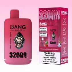 Bang Leader 32000 Puffs 6 1 jpg - Bang King Bang Leader 32000 Puffs 6 1 jpg - Bang King