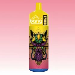 Best Portable Bang Tornado 12000 Puffs Low Nicotine Disposable Vapes for Beginners 4 1 jpg - Bang King Best Portable Bang Tornado 12000 Puffs Low Nicotine Disposable Vapes for Beginners 4 1 jpg - Bang King