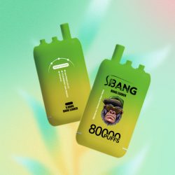 Bang Leader 80000 Puffs 06 jpg - Bang King Bang Leader 80000 Puffs 06 jpg - Bang King