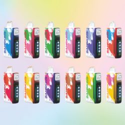 Bang King k Puffs 1 2 jpg - Bang King Bang King k Puffs 1 2 jpg - Bang King