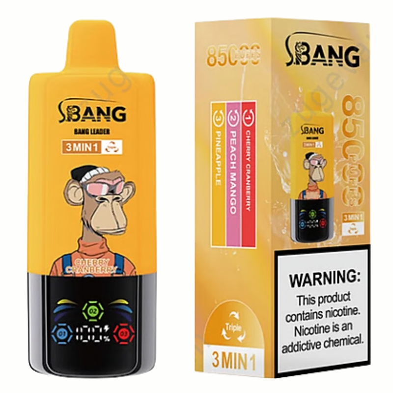 05 1 jpg - Bang King 05 1 jpg - Bang King