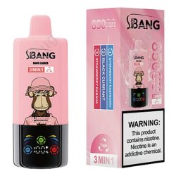 Bang leader 85000 02 1 jpg - Bang King Bang leader 85000 02 1 jpg - Bang King