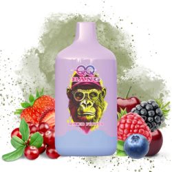 QQ BANG 50K Puffs 1 jpg - Bang King QQ BANG 50K Puffs 1 jpg - Bang King